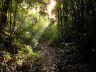 reserva-de-tijuca-parque-nacional