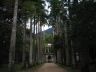 botanico-rio